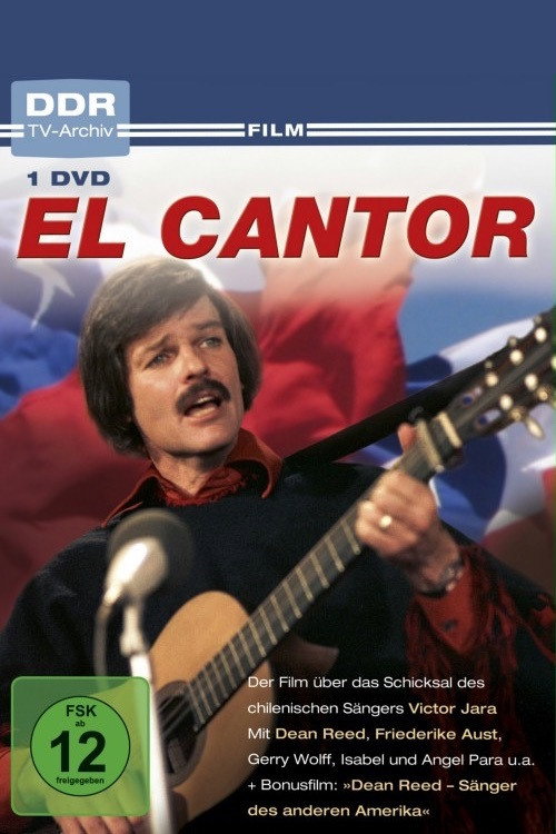 Póster de El cantor