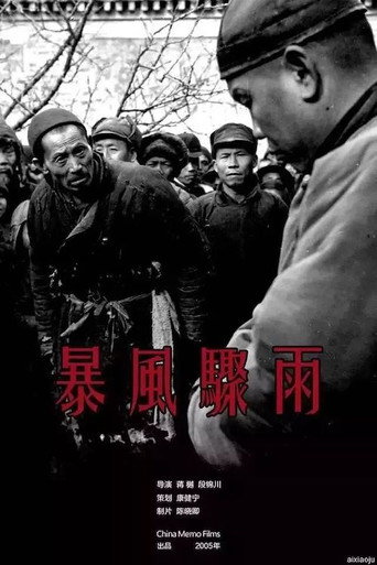 Póster de 暴风骤雨