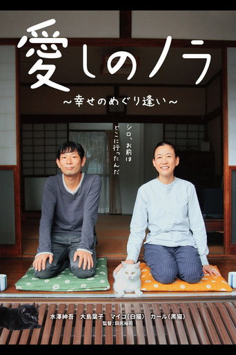 Póster de 愛しのノラ　幸せのめぐり逢い