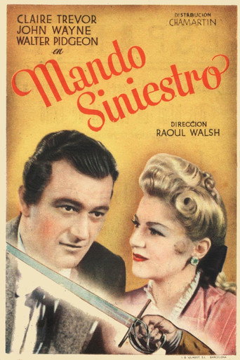 Póster de Comando negro