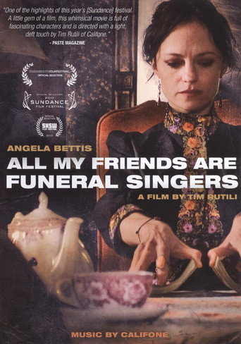 Póster de All My Friends Are Funeral Singers