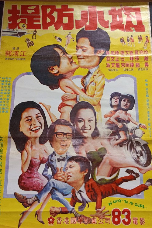 Póster de 提防小妞