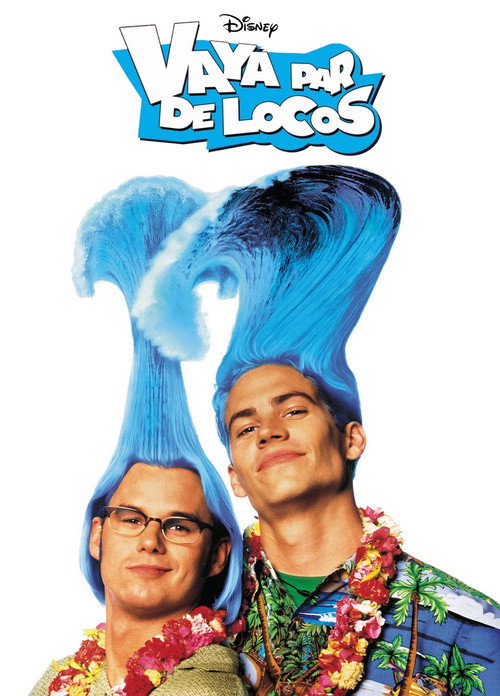 Póster de Meet the Deedles