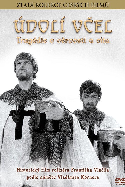 Póster de Údolí včel