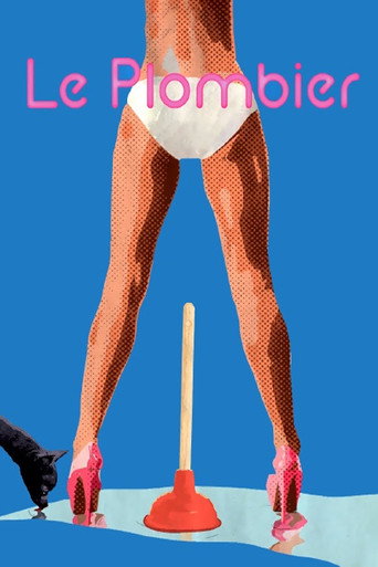 Póster de Le Plombier