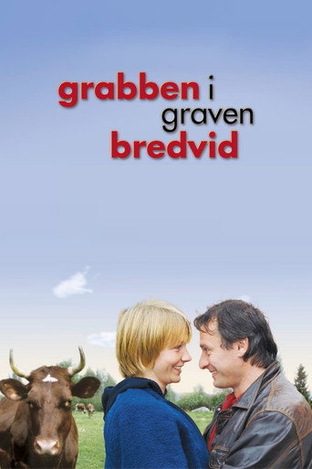 Póster de Grabben i graven bredvid