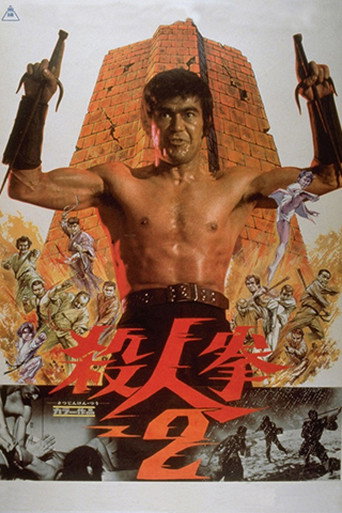 Póster de Return of the Street Fighter
