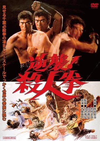 Póster de The Street Fighter's Last Revenge