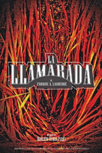 Póster de La llamarada