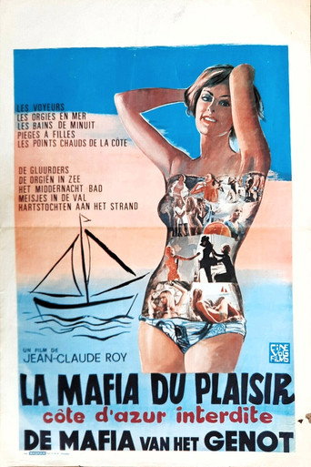 Póster de La Maffia du plaisir