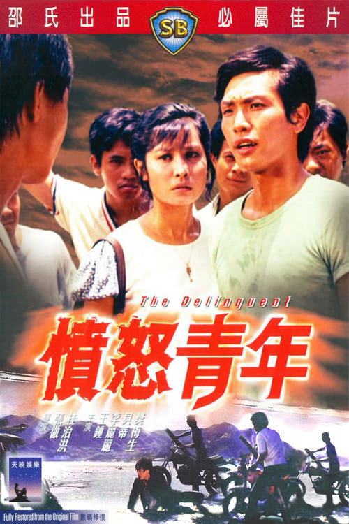 Póster de 憤怒青年