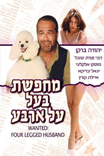 Póster de מחפשת בעל על ארבע