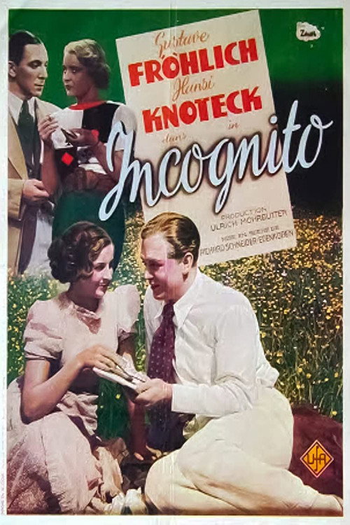 Póster de Inkognito