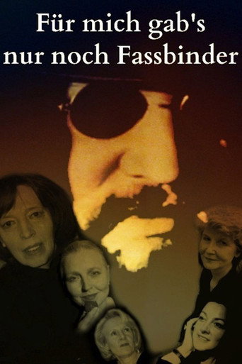 Póster de Für mich gab's nur noch Fassbinder