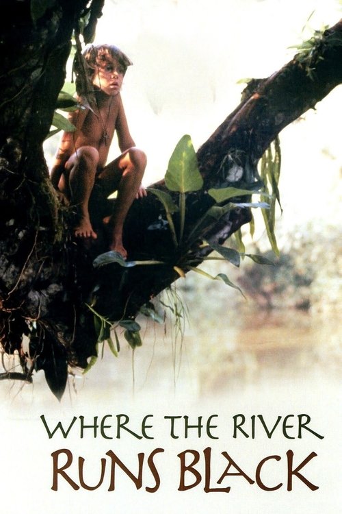 Póster de Where the River Runs Black