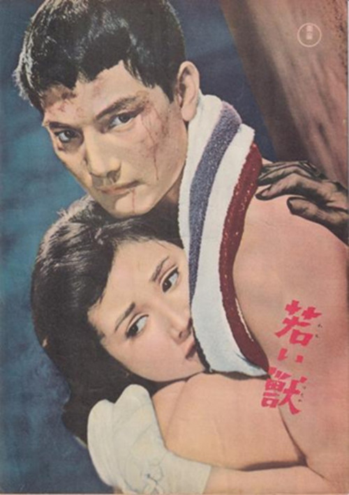 Póster de 若い獣
