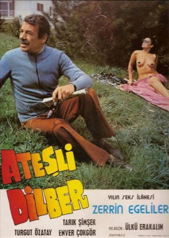 Póster de Ateşli Dilber