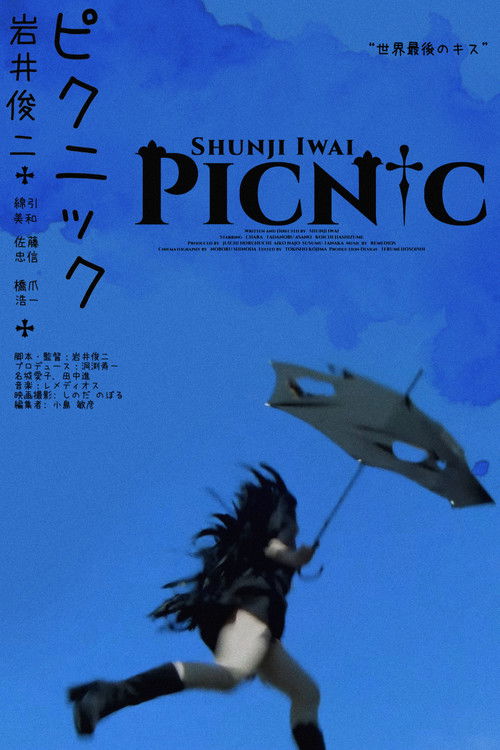 Póster de PiCNiC