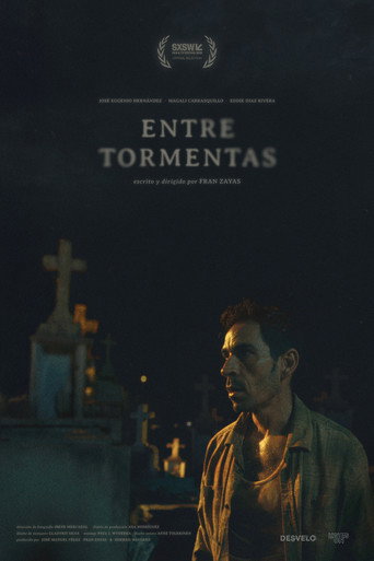Póster de Entre Tormentas