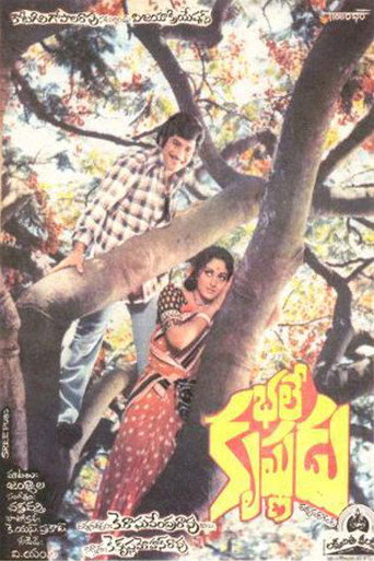 Póster de భలే కృష్ణుడు