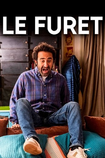 Póster de Le furet