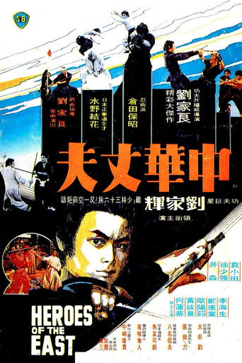 Póster de 中華丈夫