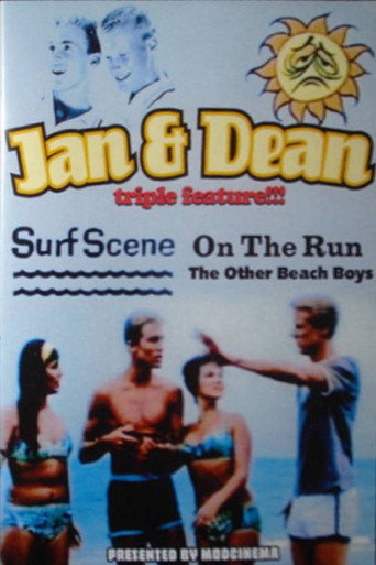 Póster de Jan & Dean: The Other Beach Boys