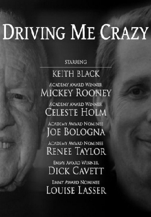 Póster de Driving Me Crazy