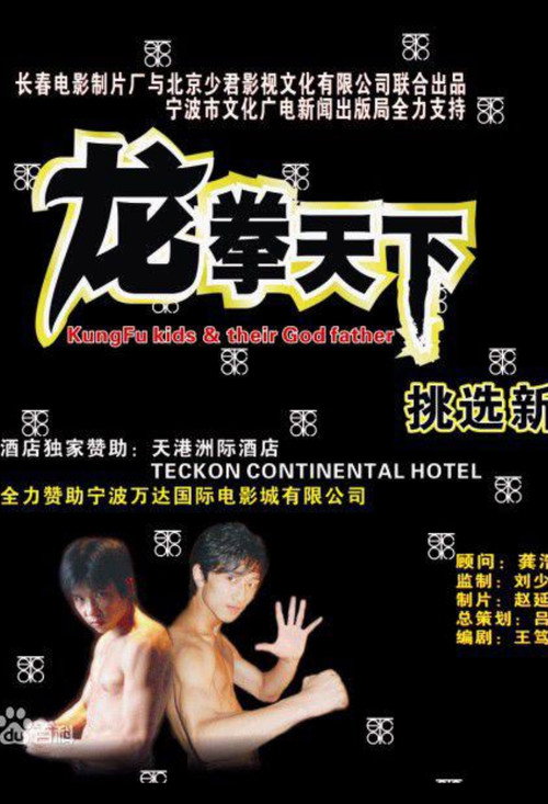 Póster de 龙拳天下