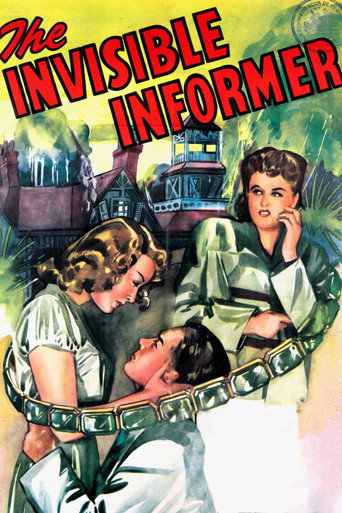 Póster de The Invisible Informer