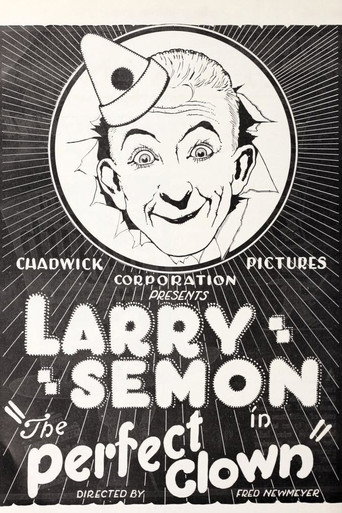 Póster de The Perfect Clown