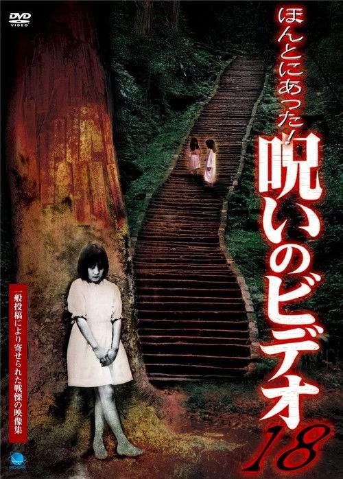 Póster de ほんとにあった！呪いのビデオ18
