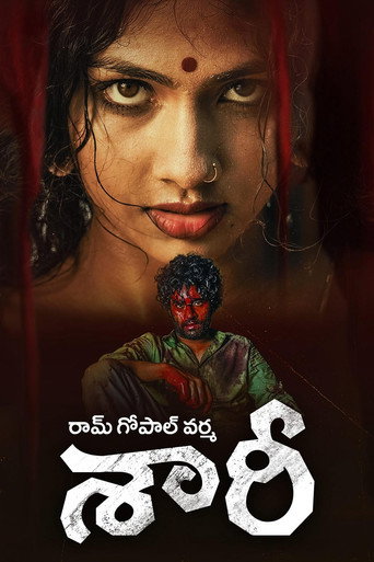Póster de సారీ