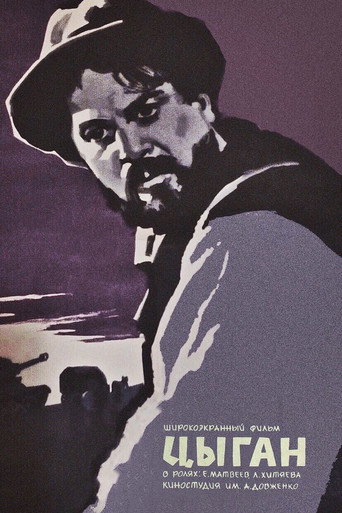 Póster de Циган