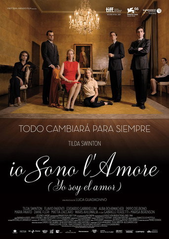 Póster de Io sono l'amore