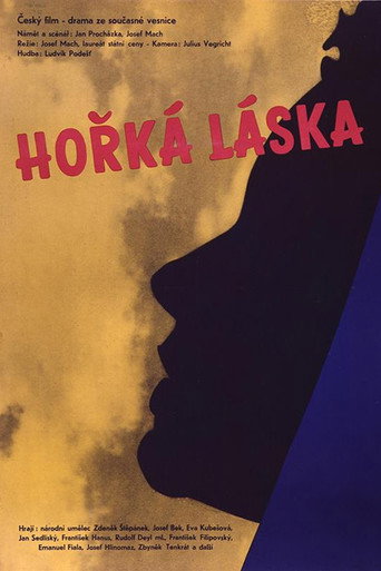 Póster de Hořká láska