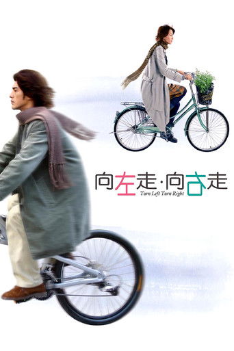 Póster de 向左走．向右走