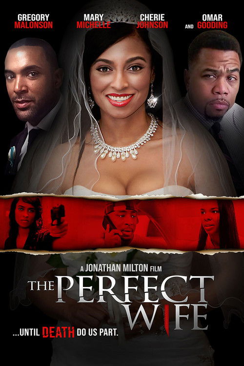 Póster de The Perfect Wife