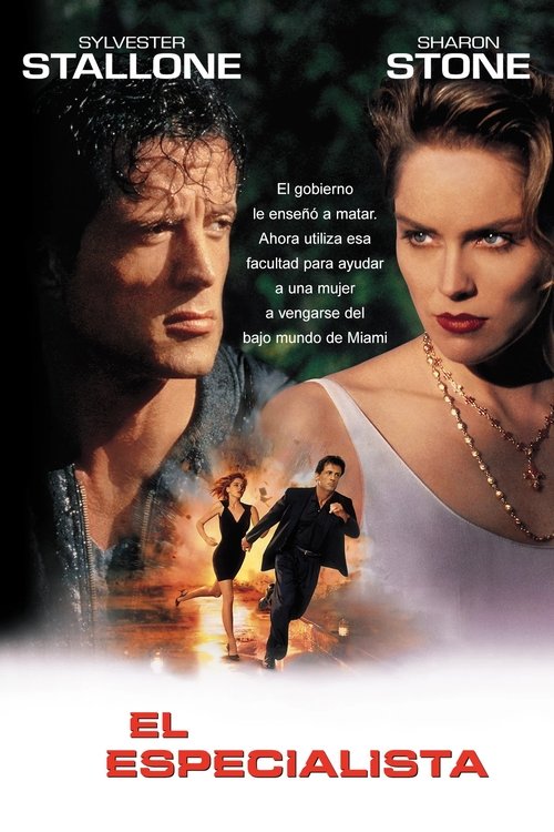 Póster de El Especialista