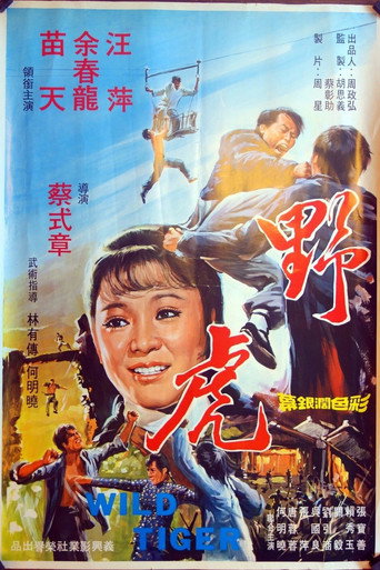 Póster de 野虎