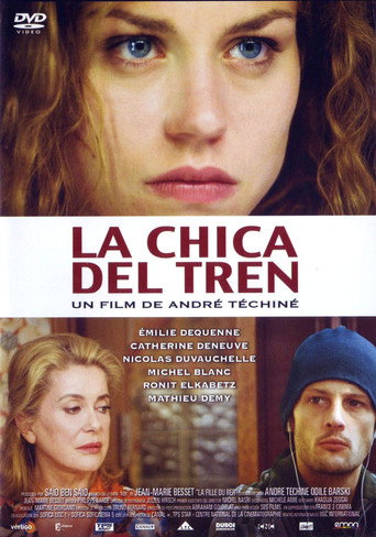 Póster de La fille du RER