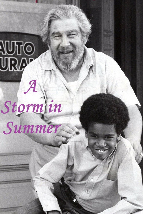 Póster de A Storm in Summer