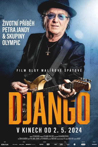 Póster de Django