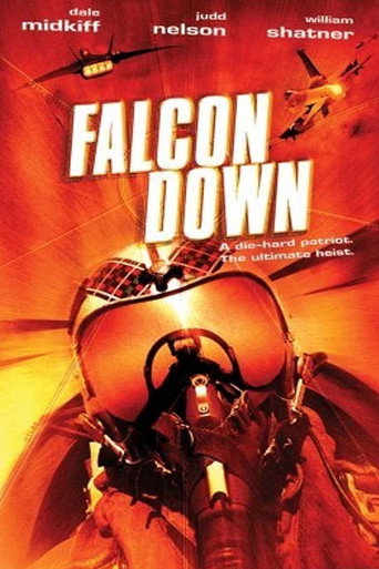 Póster de Falcon Down