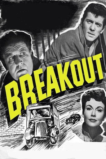 Póster de Breakout