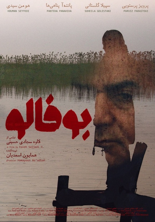 Póster de بوفالو
