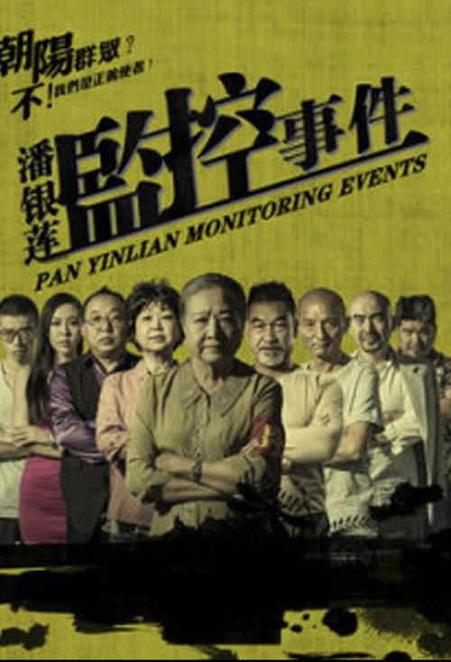 Póster de 潘银莲监控事件