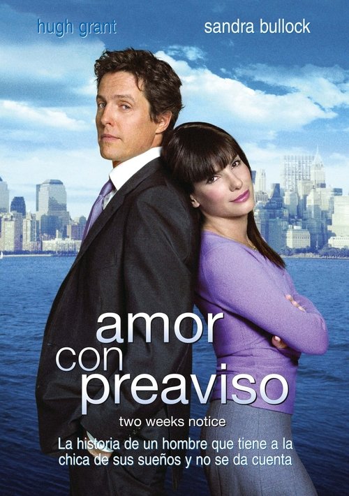 Póster de Amor a segunda vista