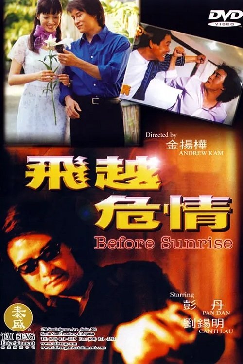 Póster de 飞越危情