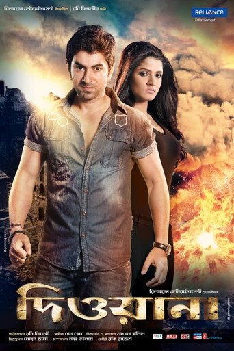 Póster de Deewana